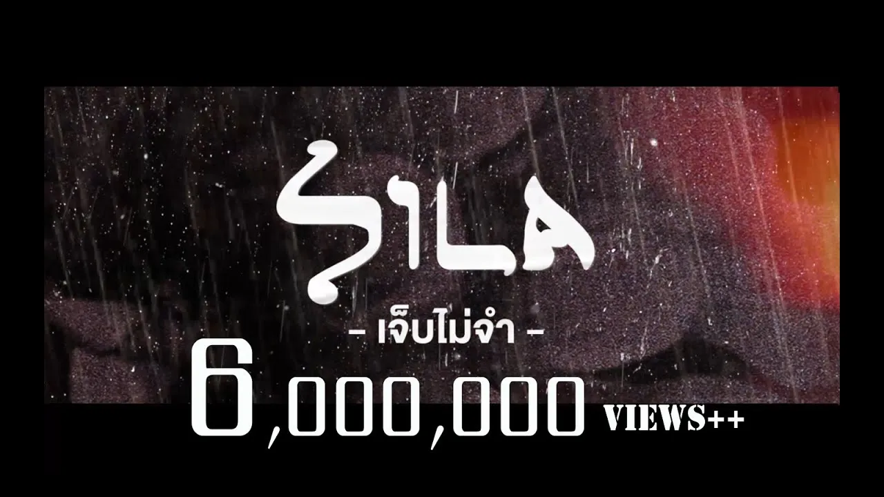 เจ็บไม่จำ