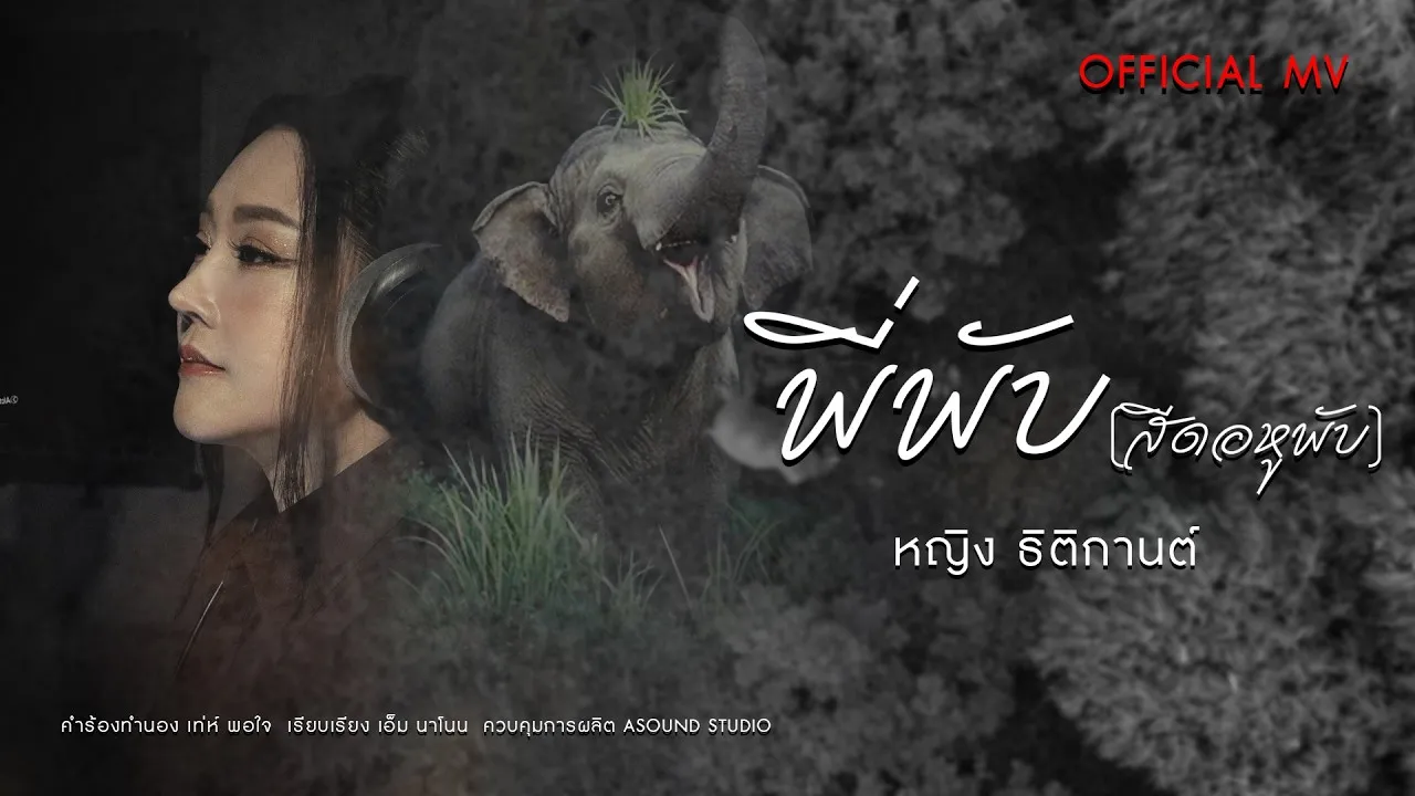 พี่พับ (สีดอหูพับ)