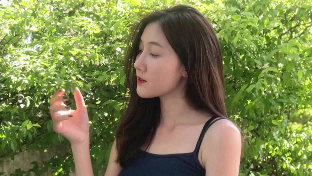 กลับไปบ่ได้