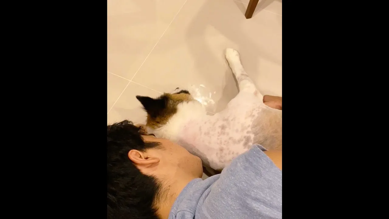 สิ่งสุดท้ายที่อยากจะบอก