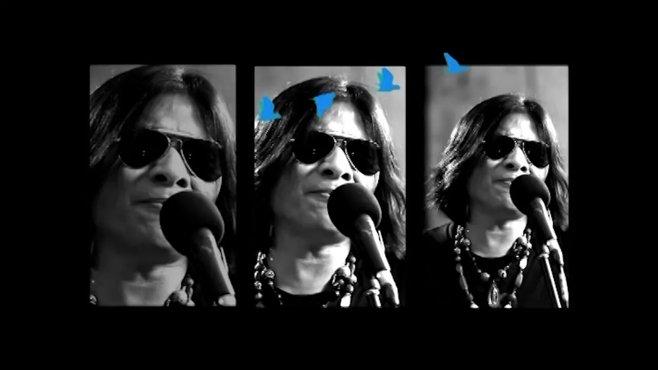 มองอย่างนก