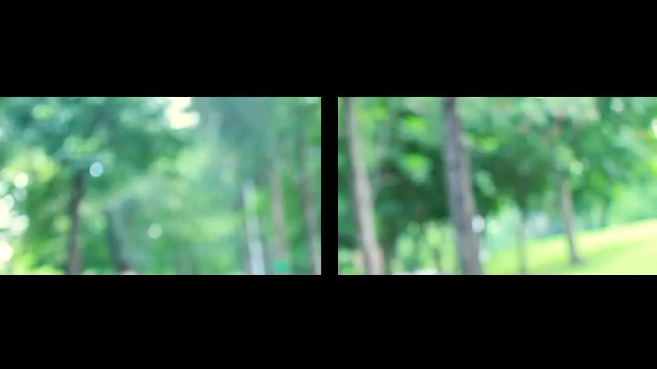 รักเมียที่สุดในโลก