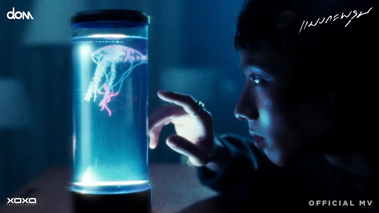 แมงกะพรุน