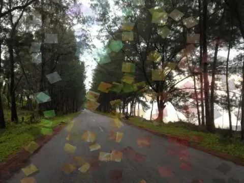 หัวใจนำทาง