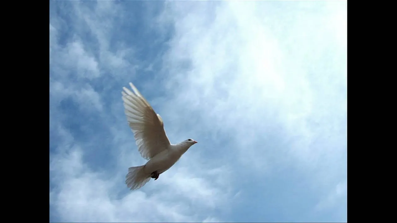 มุดก้อนเมฆ