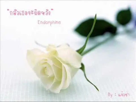 กลัวเธอจะผิดหวัง