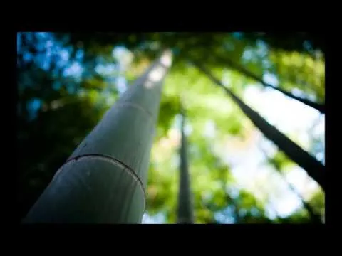 ความในใจ