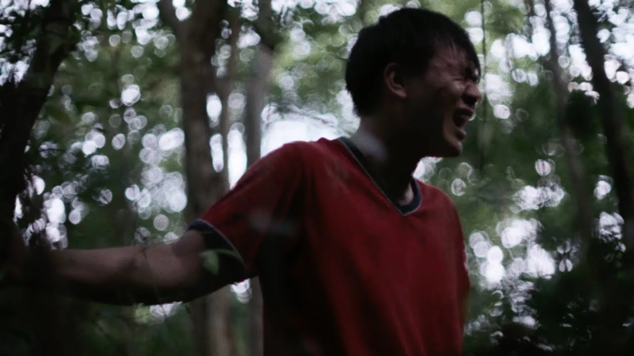 คงจะดีหากฉันหายไป (Vanishing)