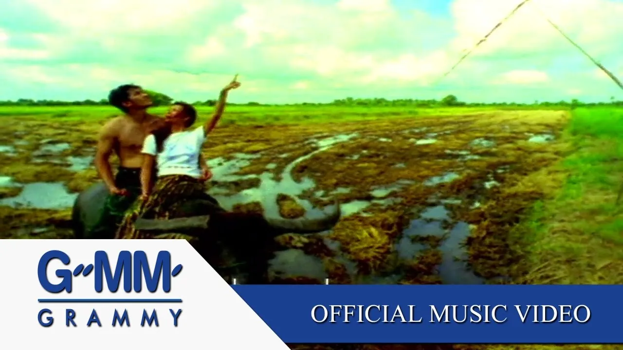 ดูโง่โง่