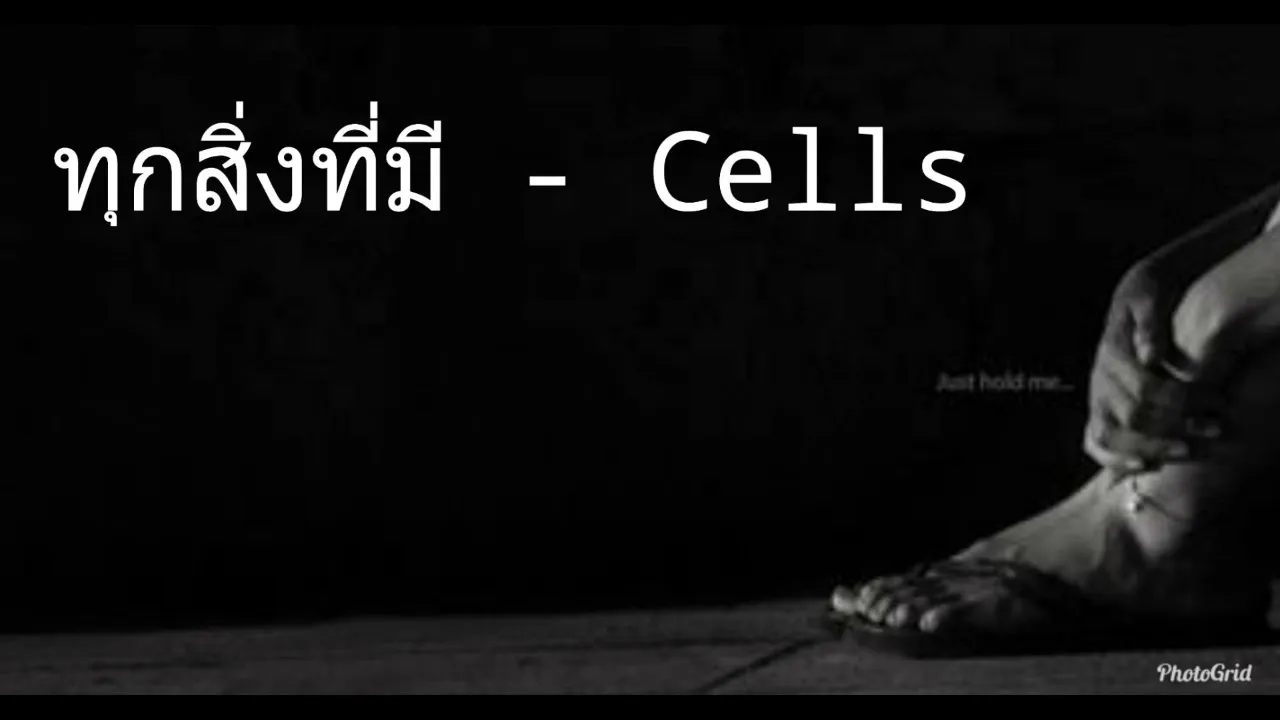 ทุกสิ่งที่มี