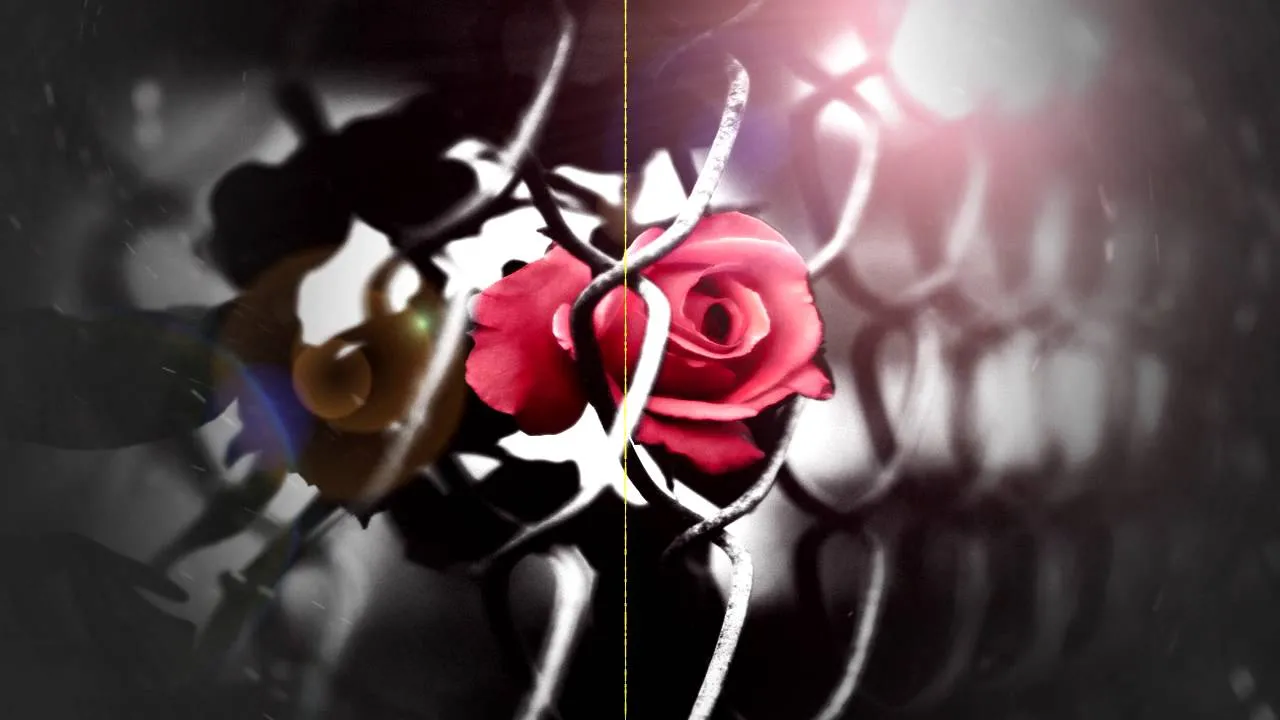 หนามชีวิต