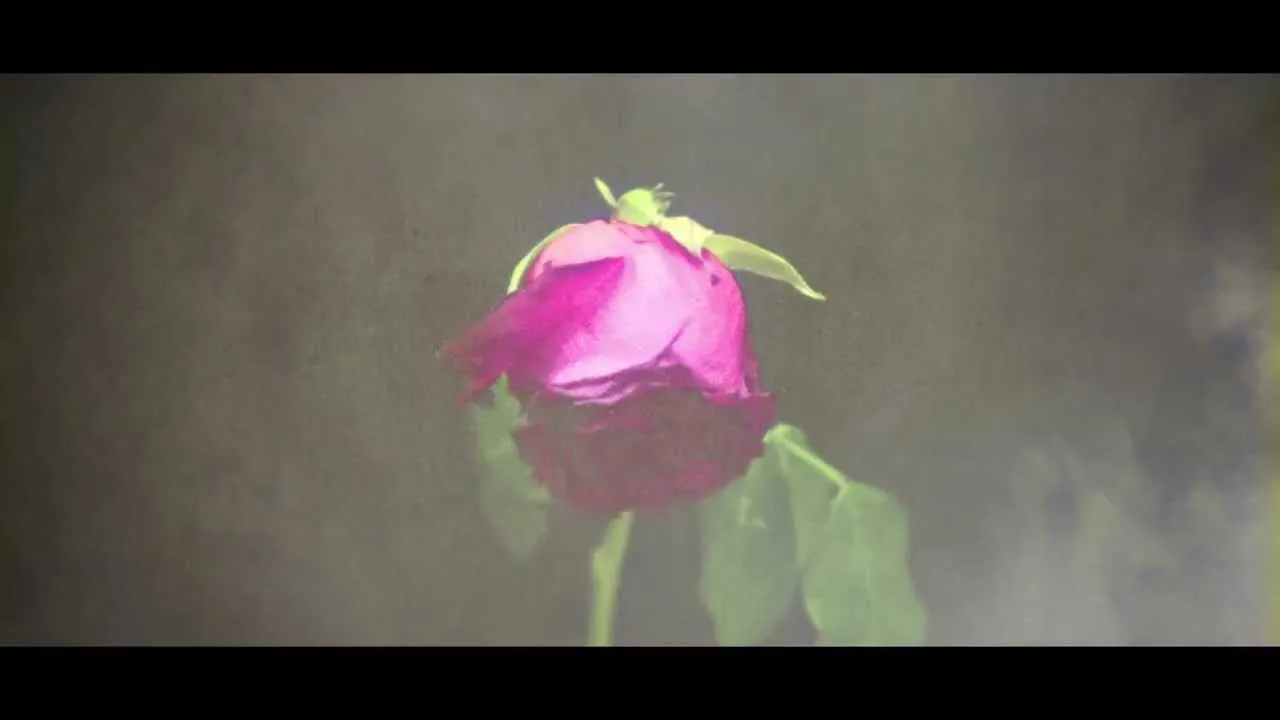 ตายช้าช้า