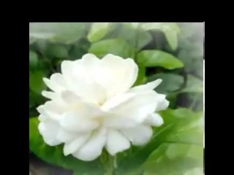 อิ่มอุ่น