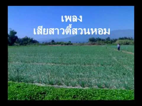 เสียสาวที่สวนหอม