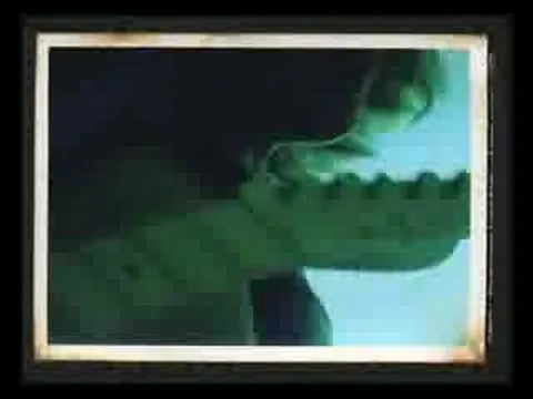 Chance (โอกาส)