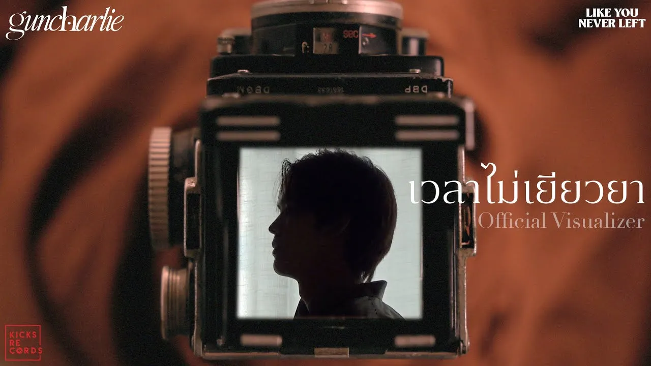 เวลาไม่เยียวยา