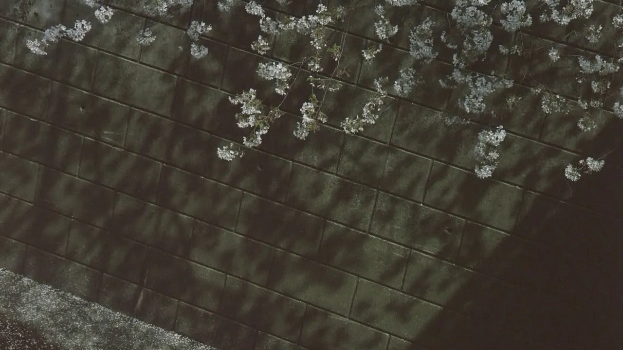 อีกสักกี่ครั้ง