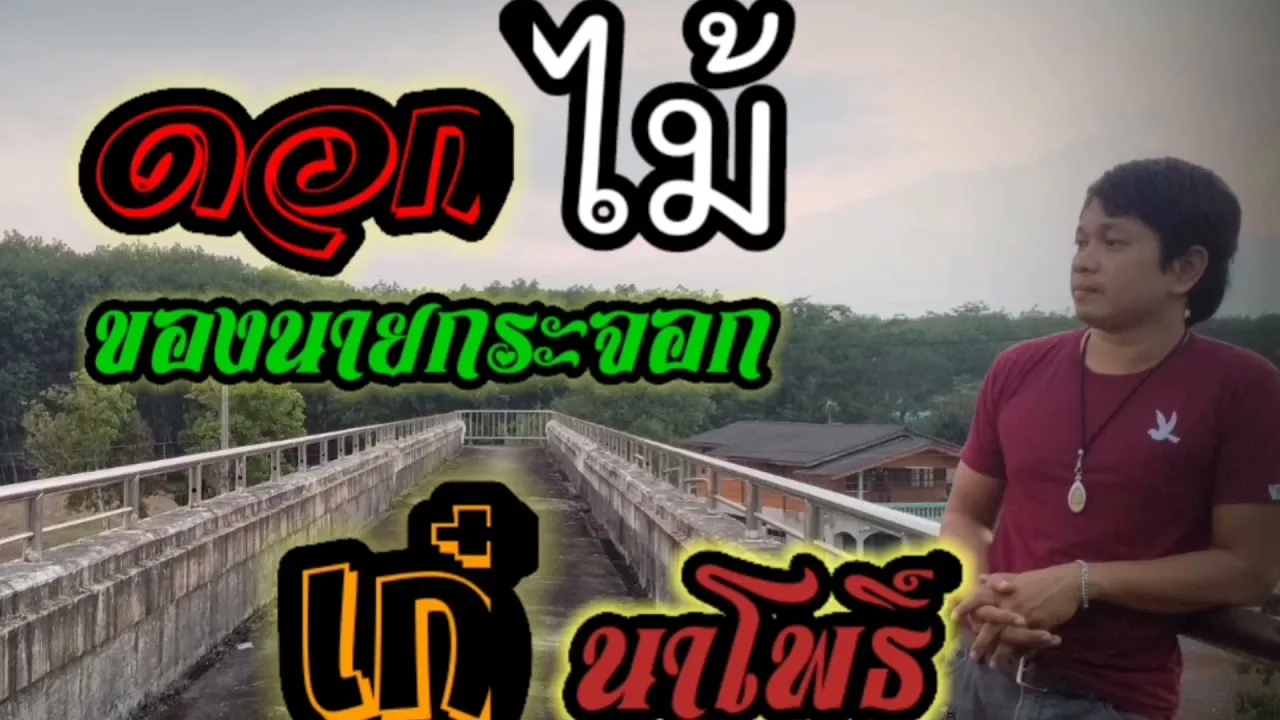 ดอกไม้ของนายกระจอก