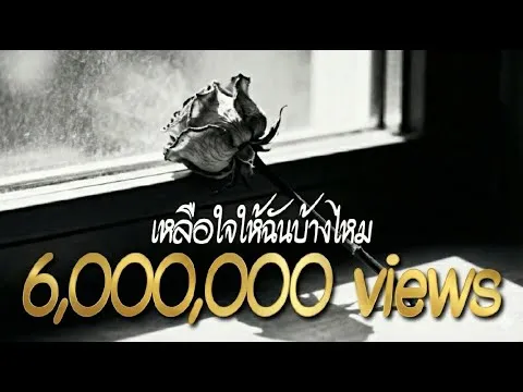 เหลือใจให้ฉันบ้างไหม