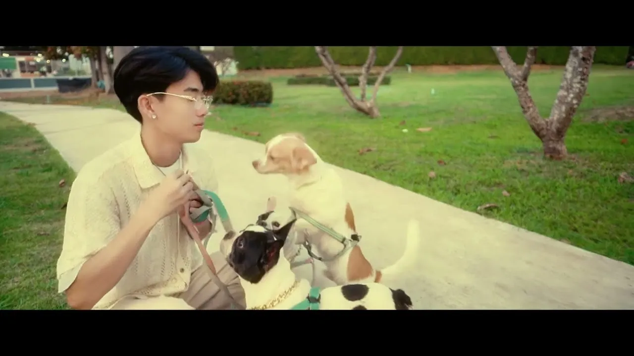 สุดท้ายก็มีแต่หมา