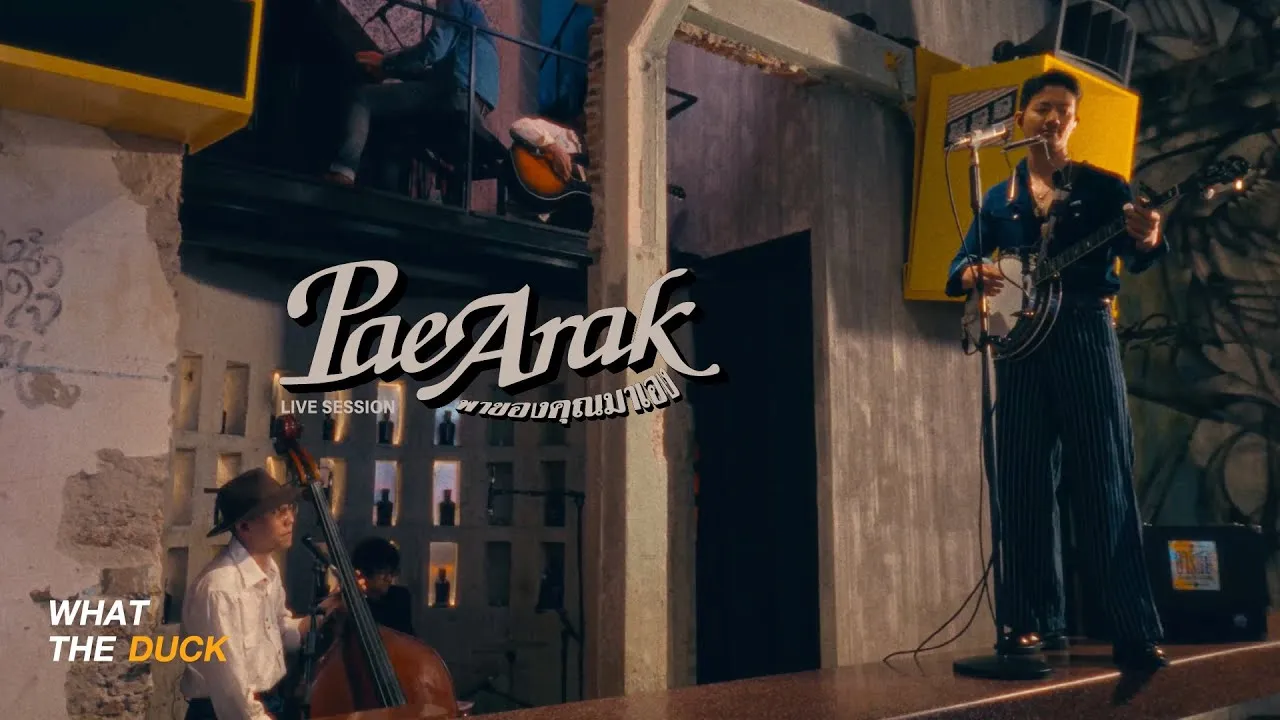 พาของคุณมาเอง