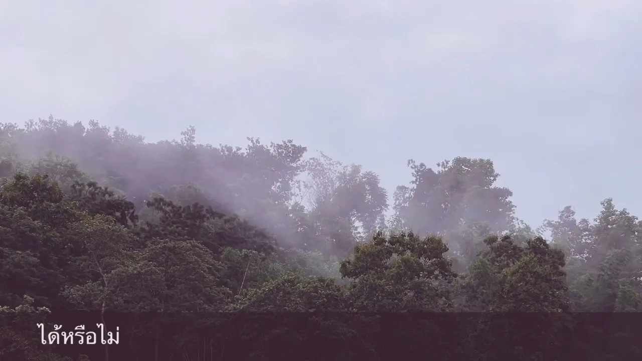 ไม่ว่าวันนั้นจะไม่สำคัญอีกแล้วเธออาจจะลืมแล้วไม่คิดถึงกันก็ไม่เป็นไร