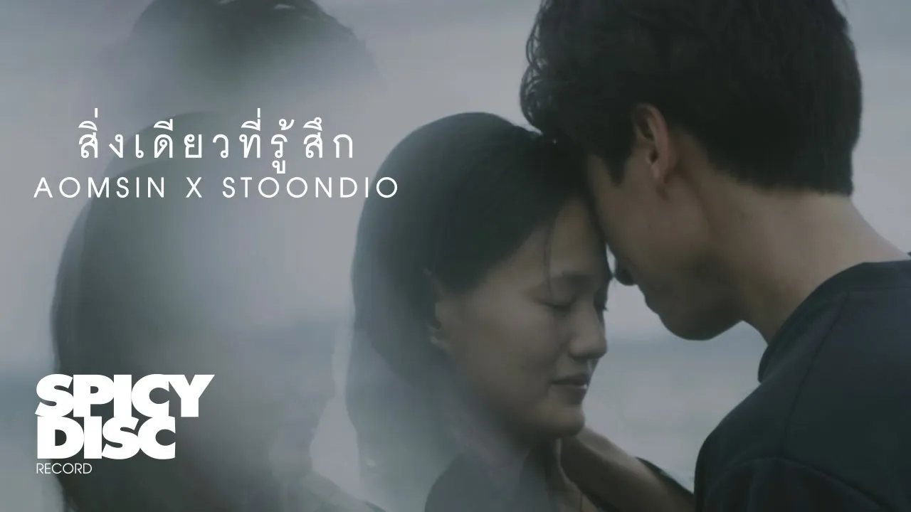 สิ่งเดียวที่รู้สึก (Embed)