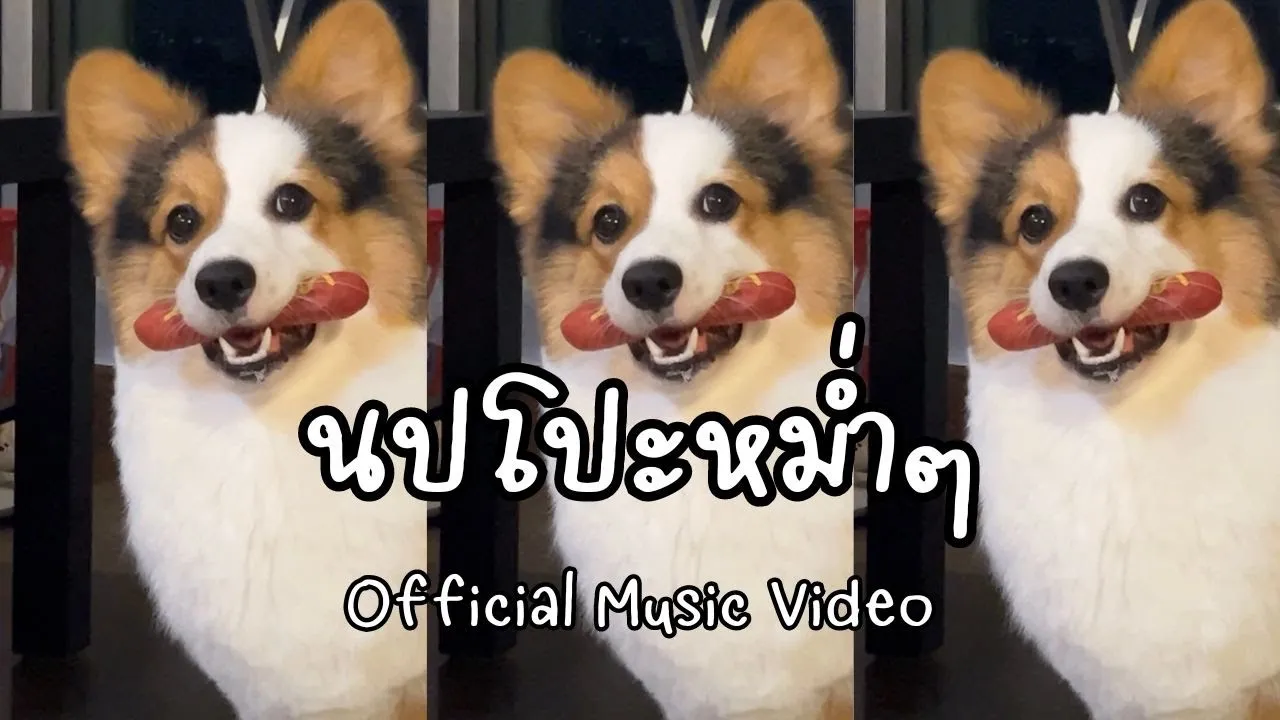 นปโปะหม่ำๆ