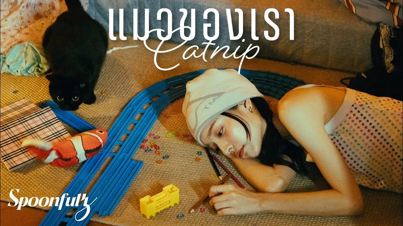 แมวของเรา