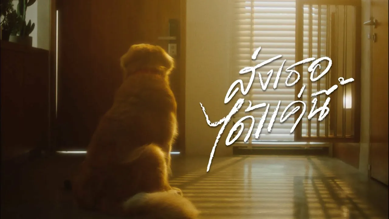 ส่งเธอได้แค่นี้