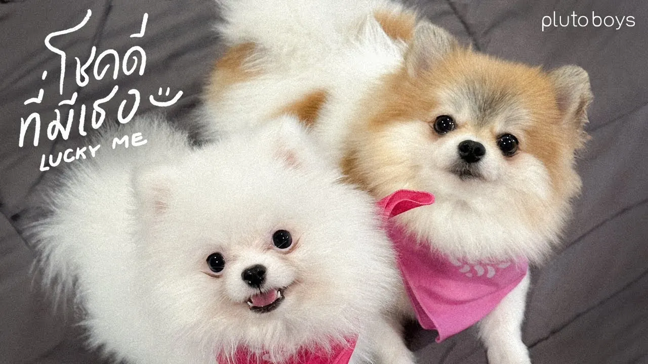 โชคดีที่มีเธอ (Lucky Me)