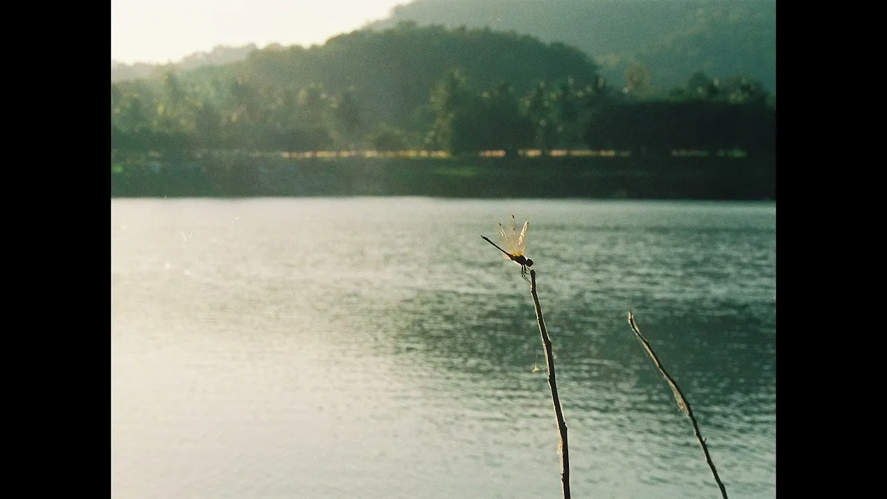 วันนี้อากาศดี