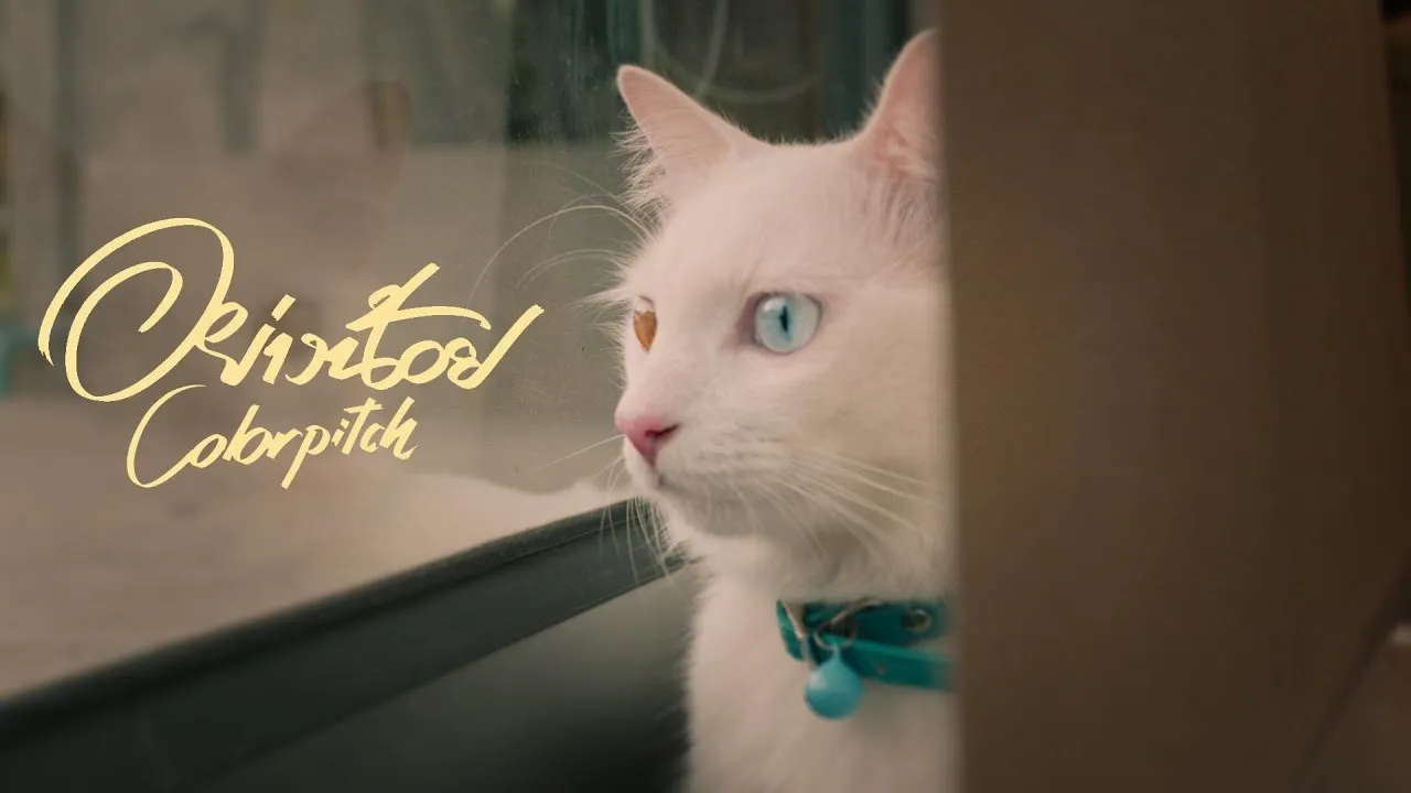 อย่างน้อย