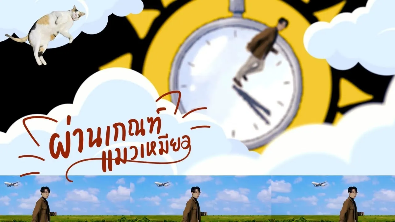 ผ่านเกณฑ์แมวเหมียว