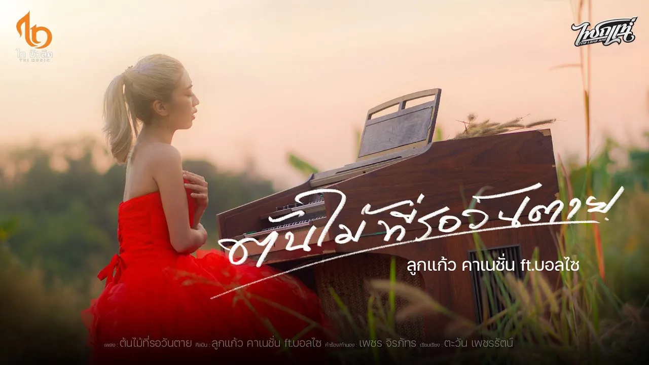 ต้นไม้ที่รอวันตาย