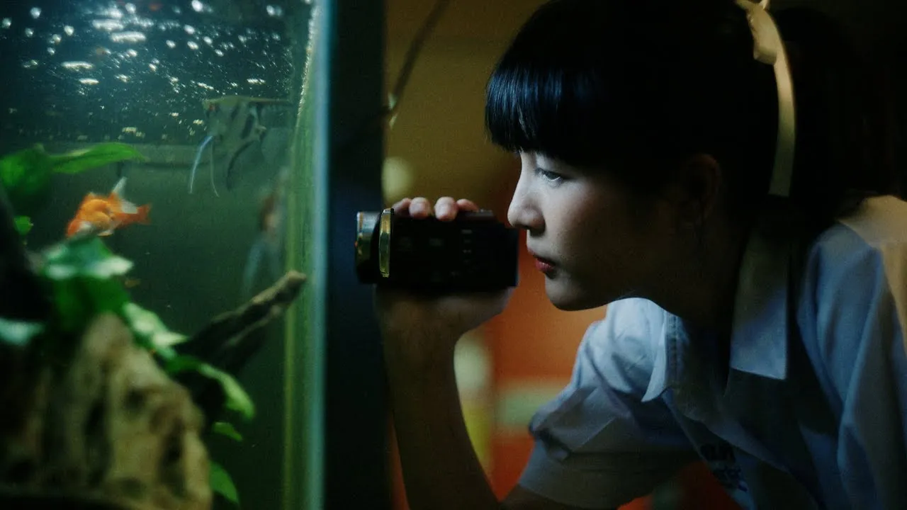 จากกันโดย(ไม่)ดี