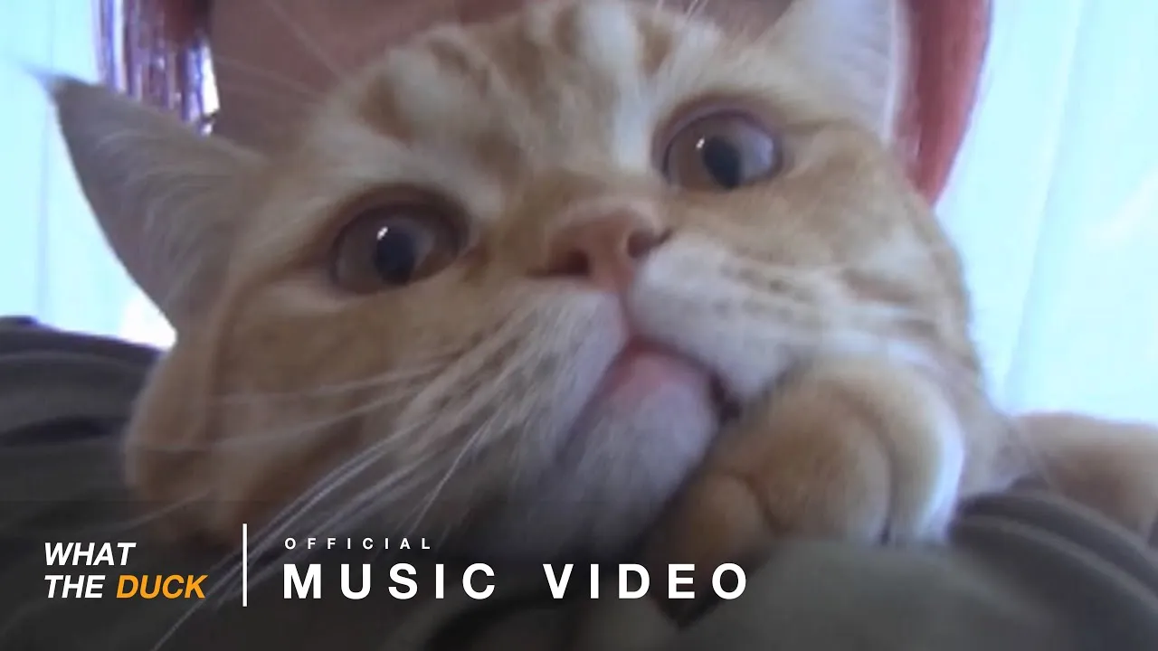 เพลงรักเพลงแรก (Blooming)