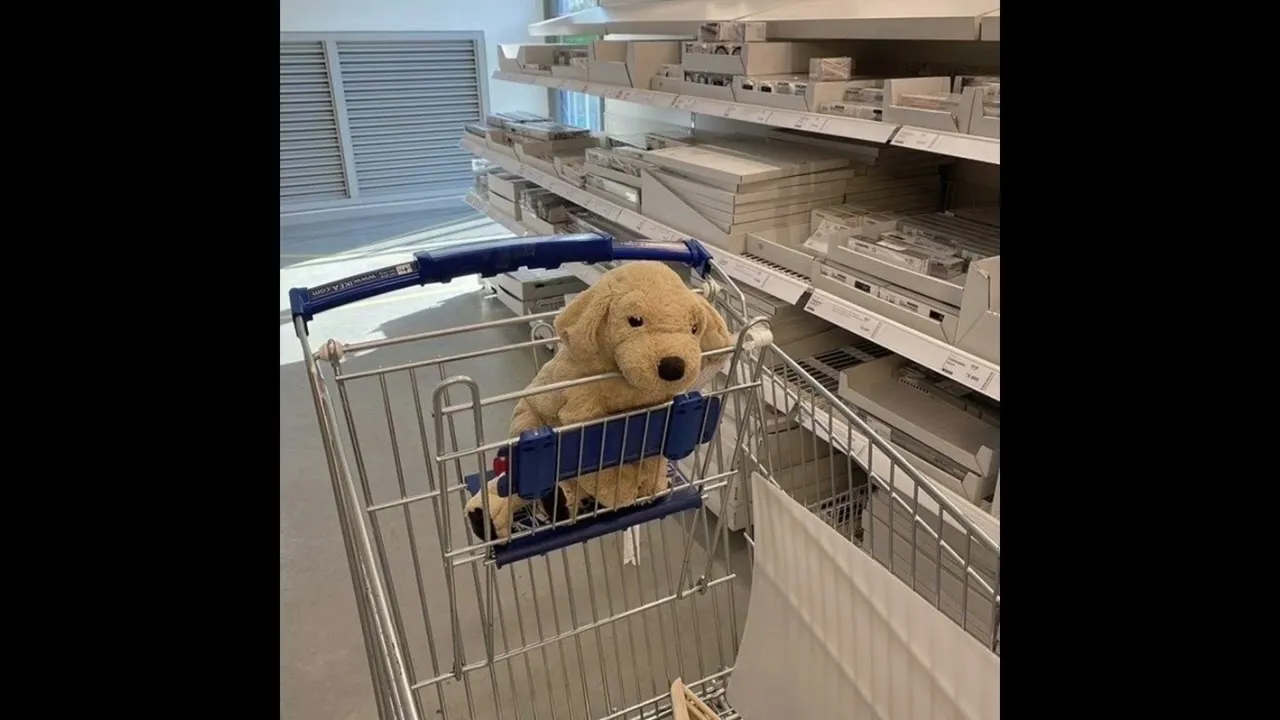 หากว่าฉันได้ครอบครอง