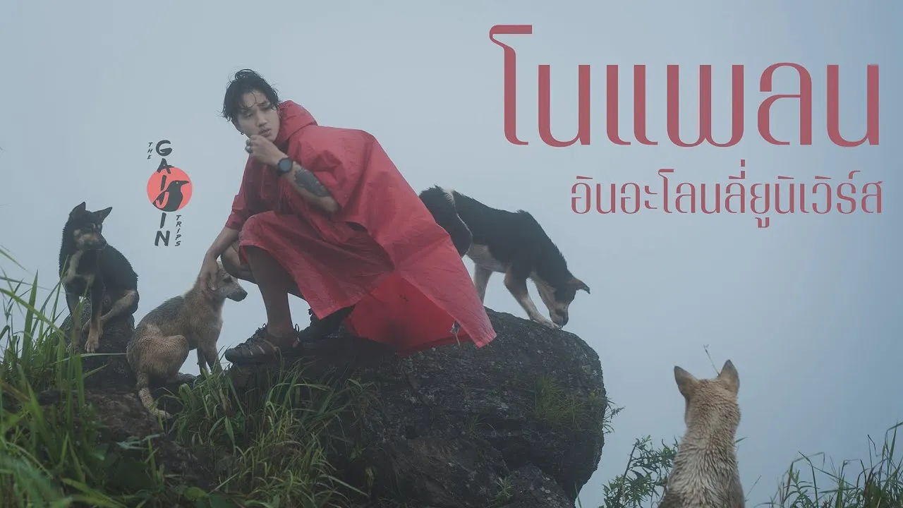 โนแพลนอินอะโลนลี่ยูนิเวิร์ส