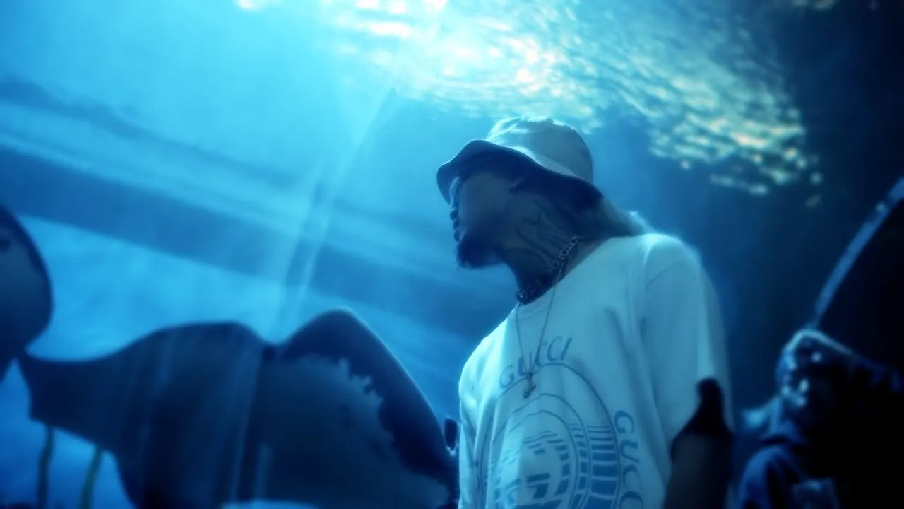 I JUST WANNA BE FREE