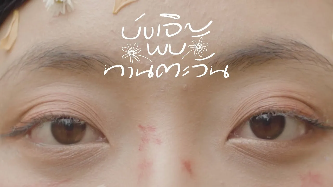 บังเอิญพบทานตะวัน