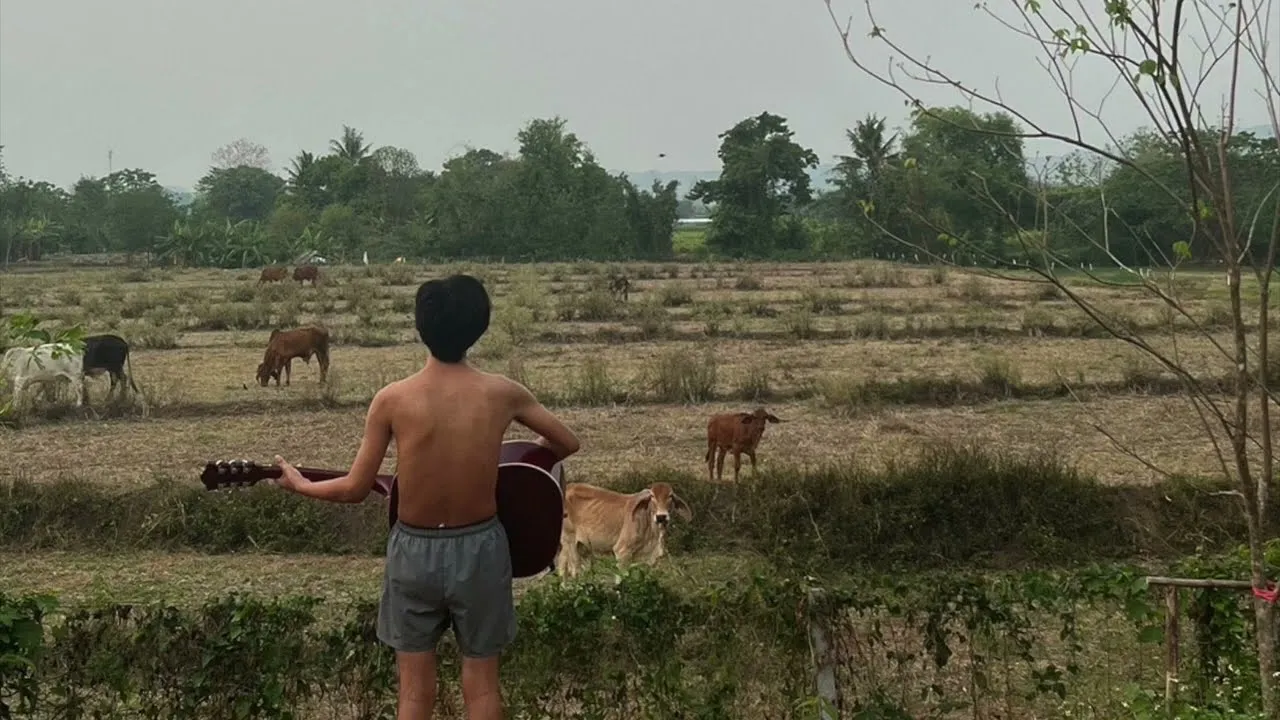 ทิ้งไว้กลางทาง