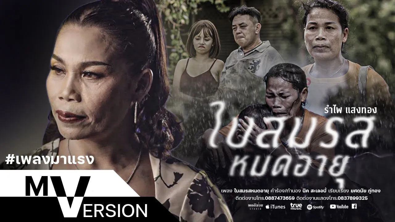 ใบสมรสหมดอายุ