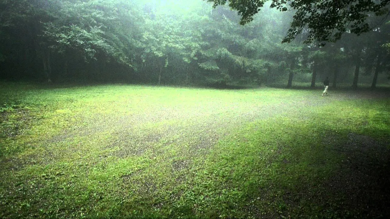 วันนี้เมื่อปีก่อน