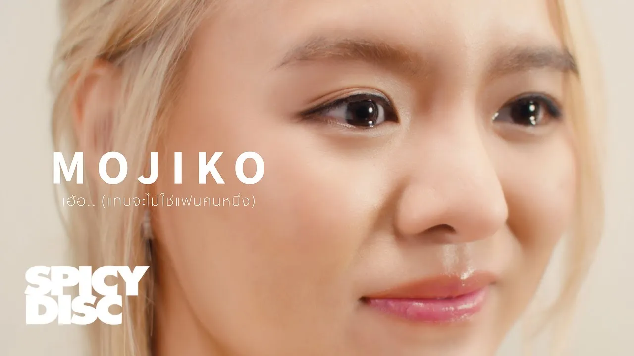 เฮ้อ.. (แทบจะไม่ใช่แฟนคนหนึ่ง)