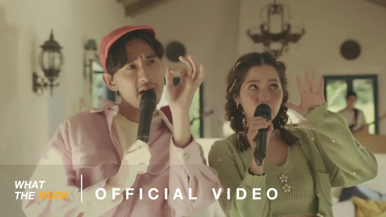 ดูดฝุ่น