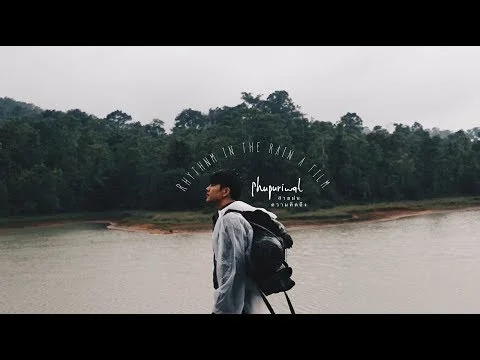 สายฝน ความคิดถึง