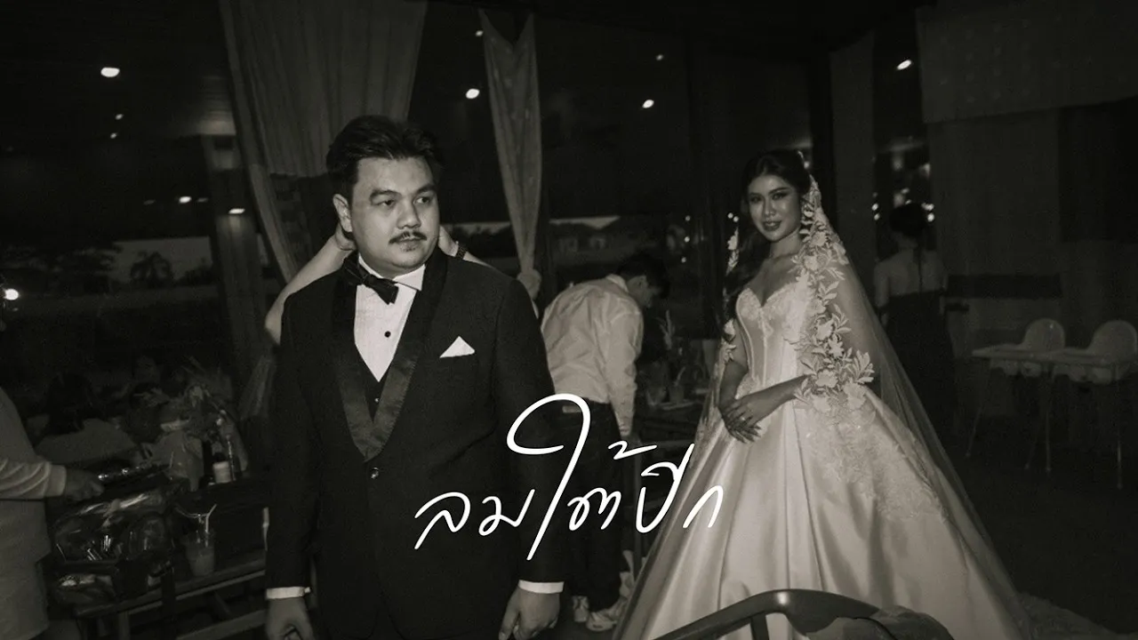 ลมใต้ปีก