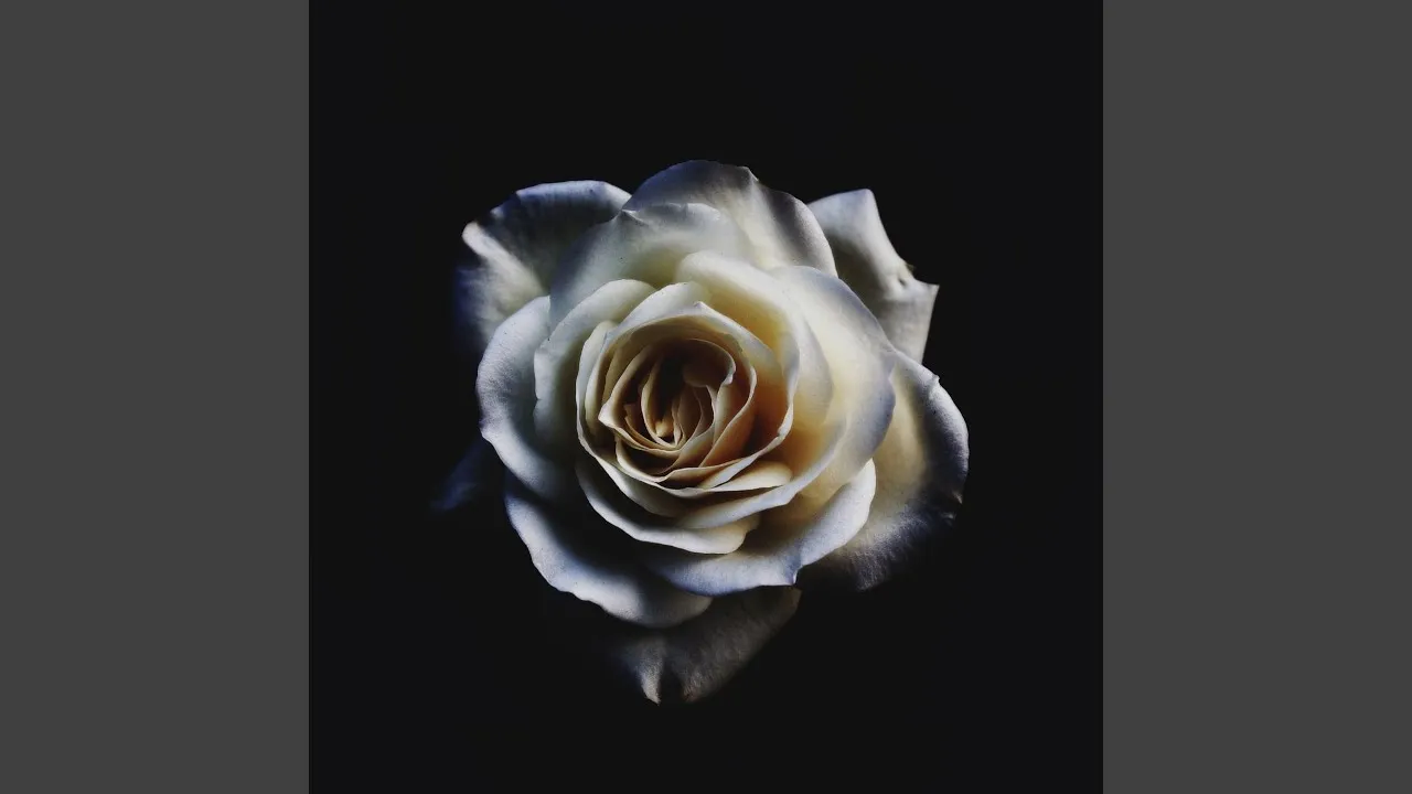 แม่นางเอก