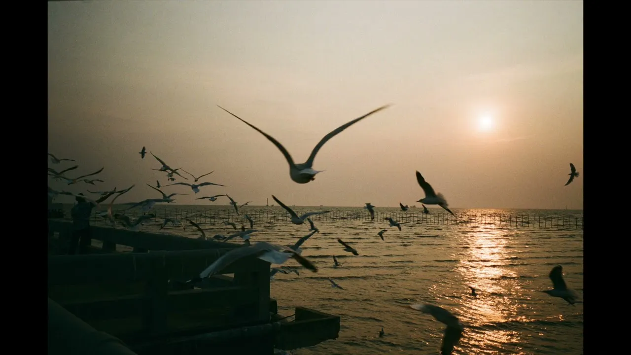 ปีกแห่งความฝันหรือปีกแห่งความจริง